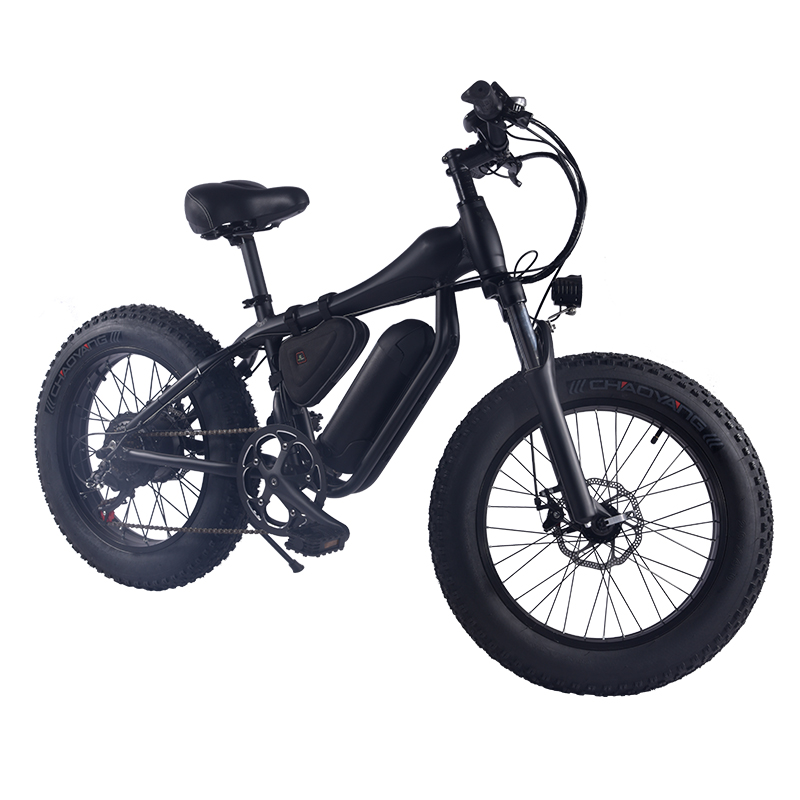 48v 500w two wheel electric bike 20
