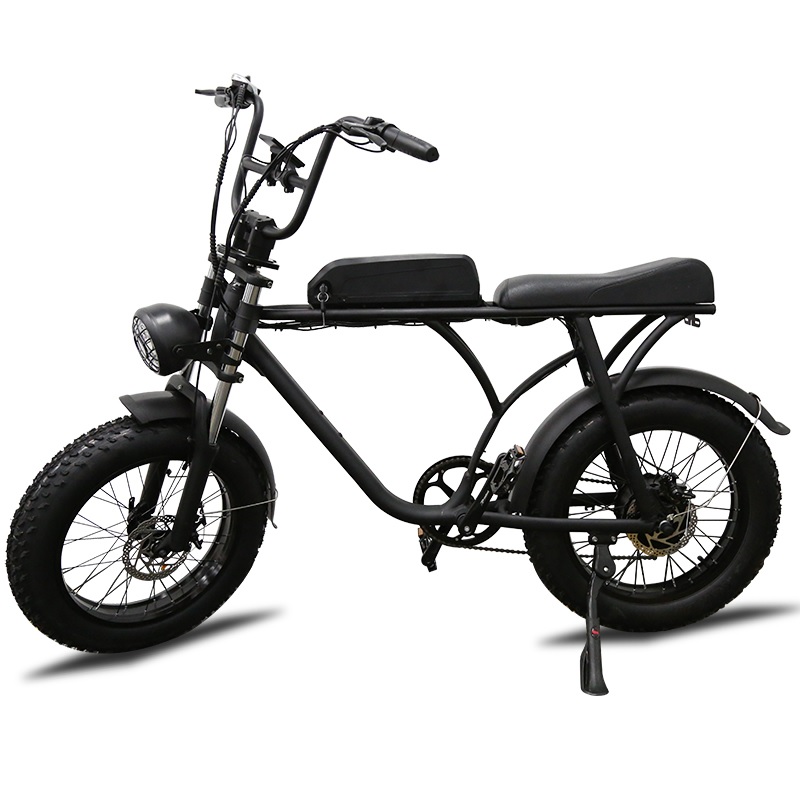 48v 750w electric bike 7 gears adult electric bicycle 20inch for wholesale
