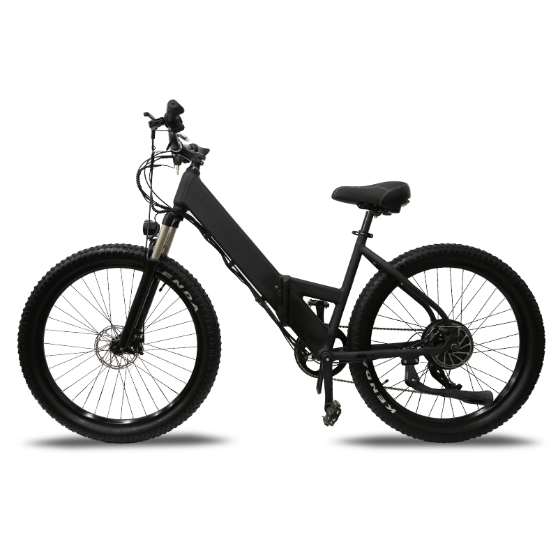 Factory  wholesale fat tire electric bike  48V 14AH 500W 750W 1000W ebike