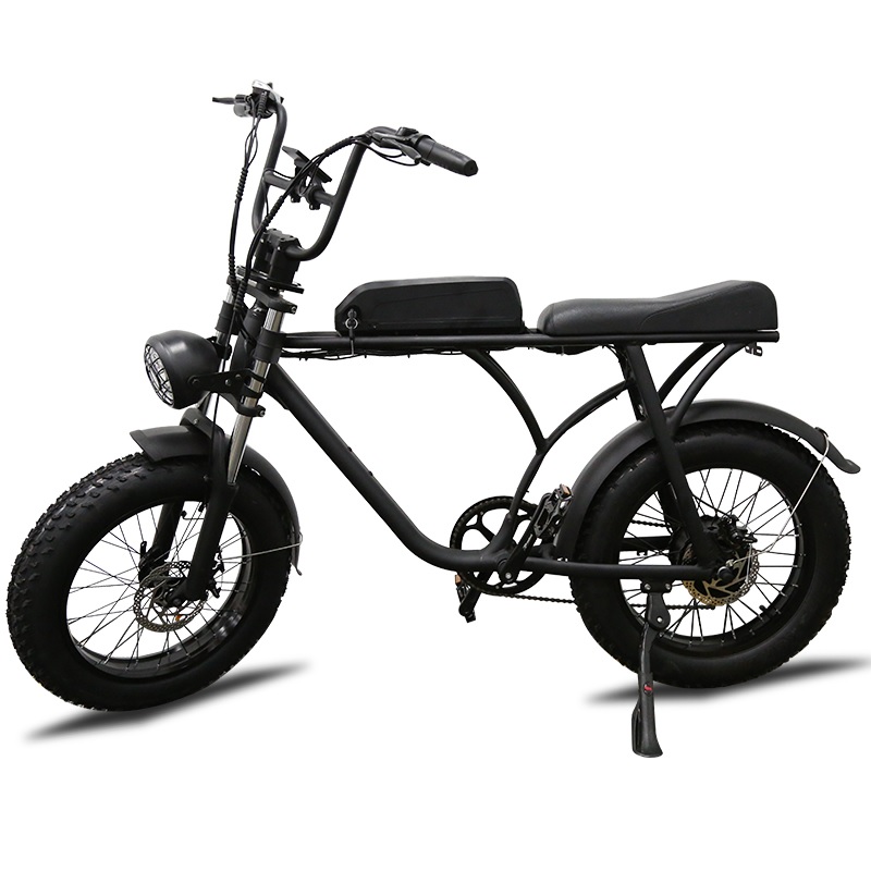 Factory production 20 inch electric fat tire bike 750w 48v e-bike OEM