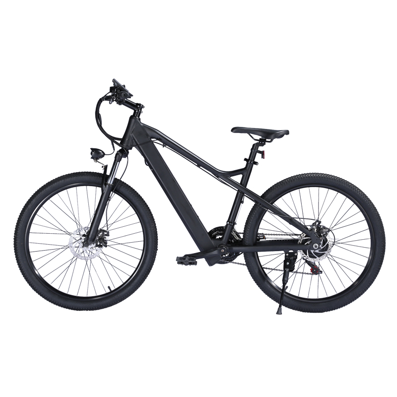 European warehouse electric bike 18650 Lithium 48V*7.5Ah 26