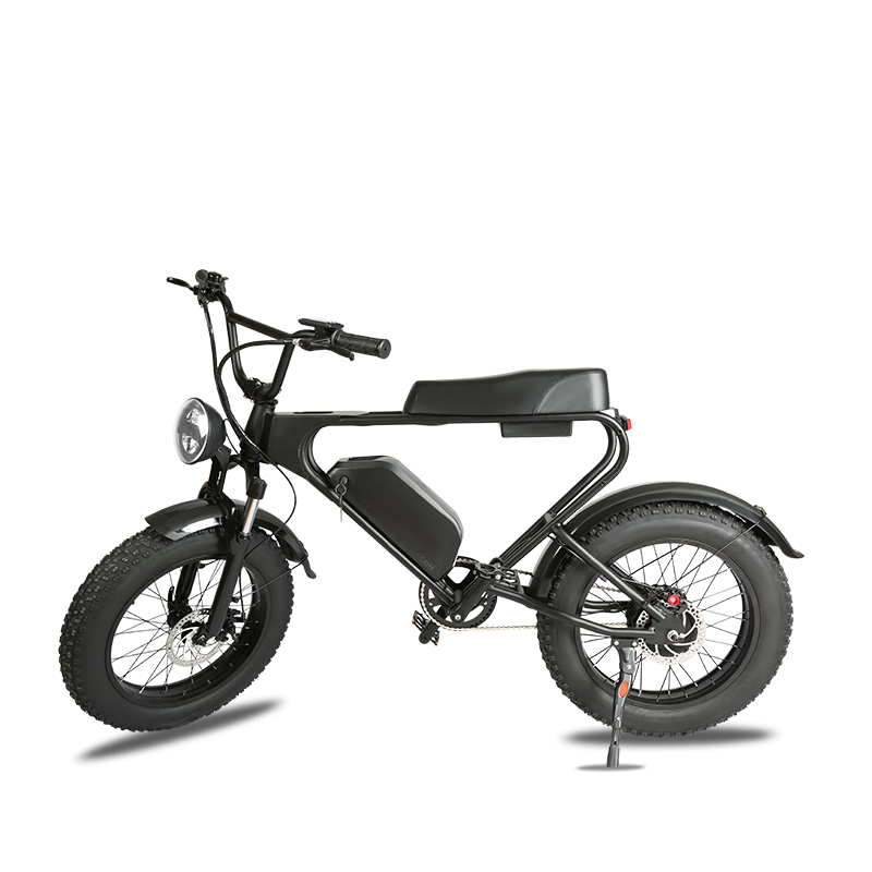 Factory odm 750w electric bike 48V 17.5AH electric dirt bike