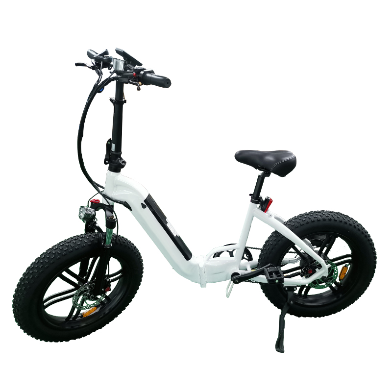 48V step thru folding ebike custom 7 speed 750 watt fat tire ebike for snow/beach