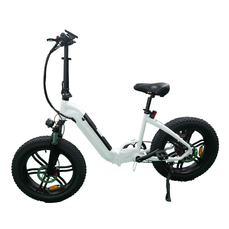 Factory step through fat tire ebike 500W/750W 20 inch offroad electric ebike