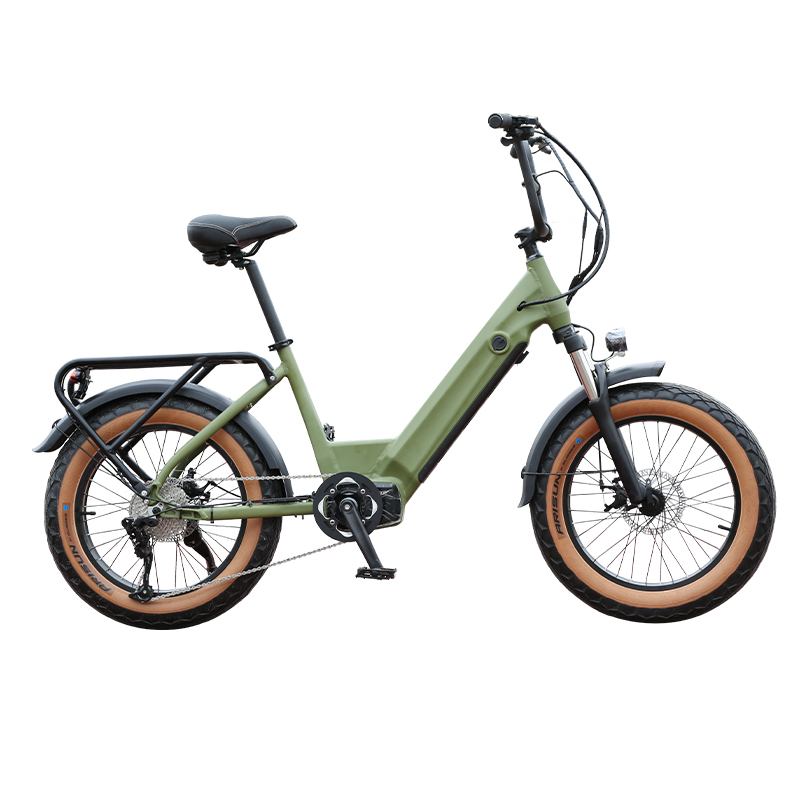 Lady Electric Bike 20 iInch  48V 10.4AH Battery Crusier Electric Bike