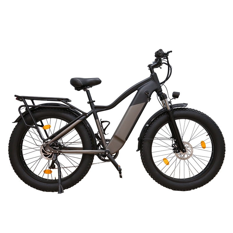 750W 1000W Brushess Motor Ebike Adult Electric Dirt Bike for Factory Wholesale