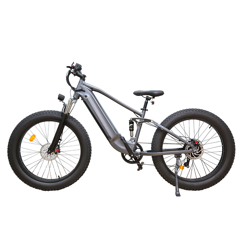 Disc Brake Ebike Fat Bike 9 Speed Electric Quad Bike