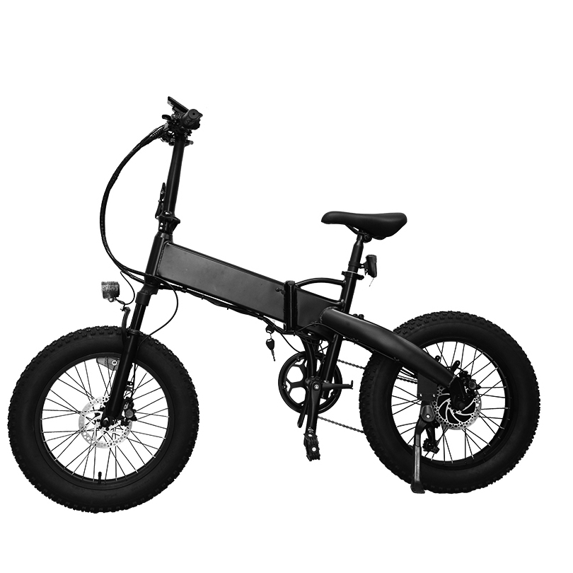 20 Inch Fat Tyre Ebike Folding 350W Motor Small Electric Bike