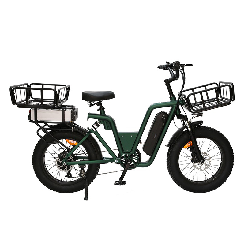 48V 350W Fat Wheel Electric Bike Aluminum Alloy Ebike for Adults