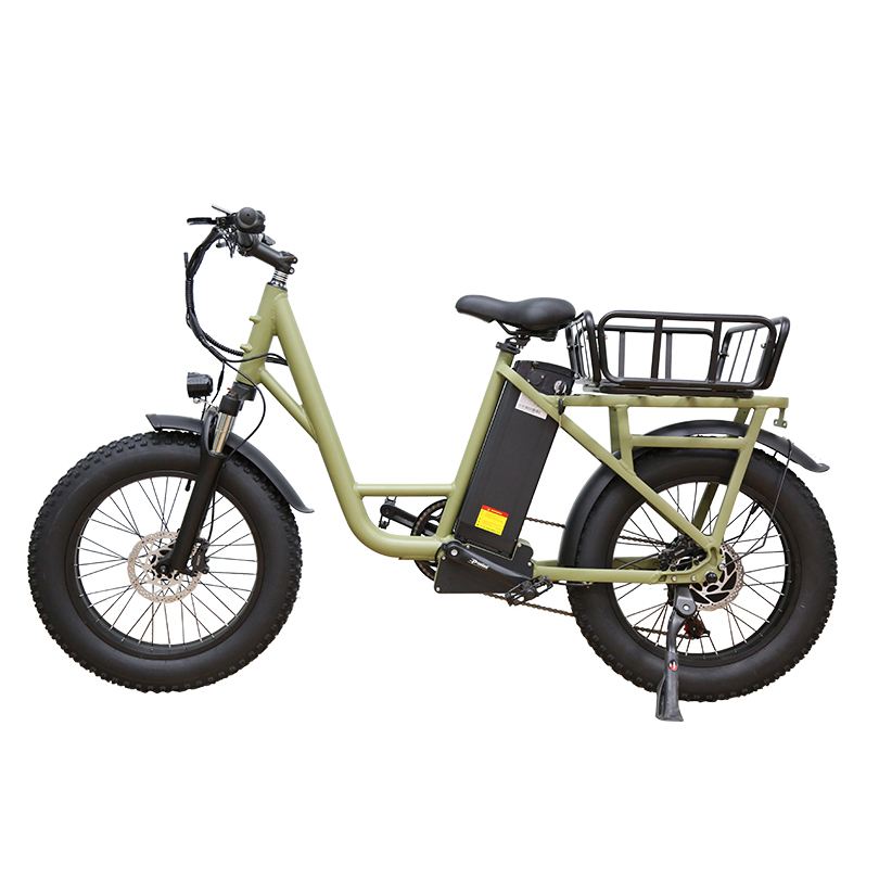 20 Inch Disc Brake E-Bike OEM ODM Double Battery Ebike