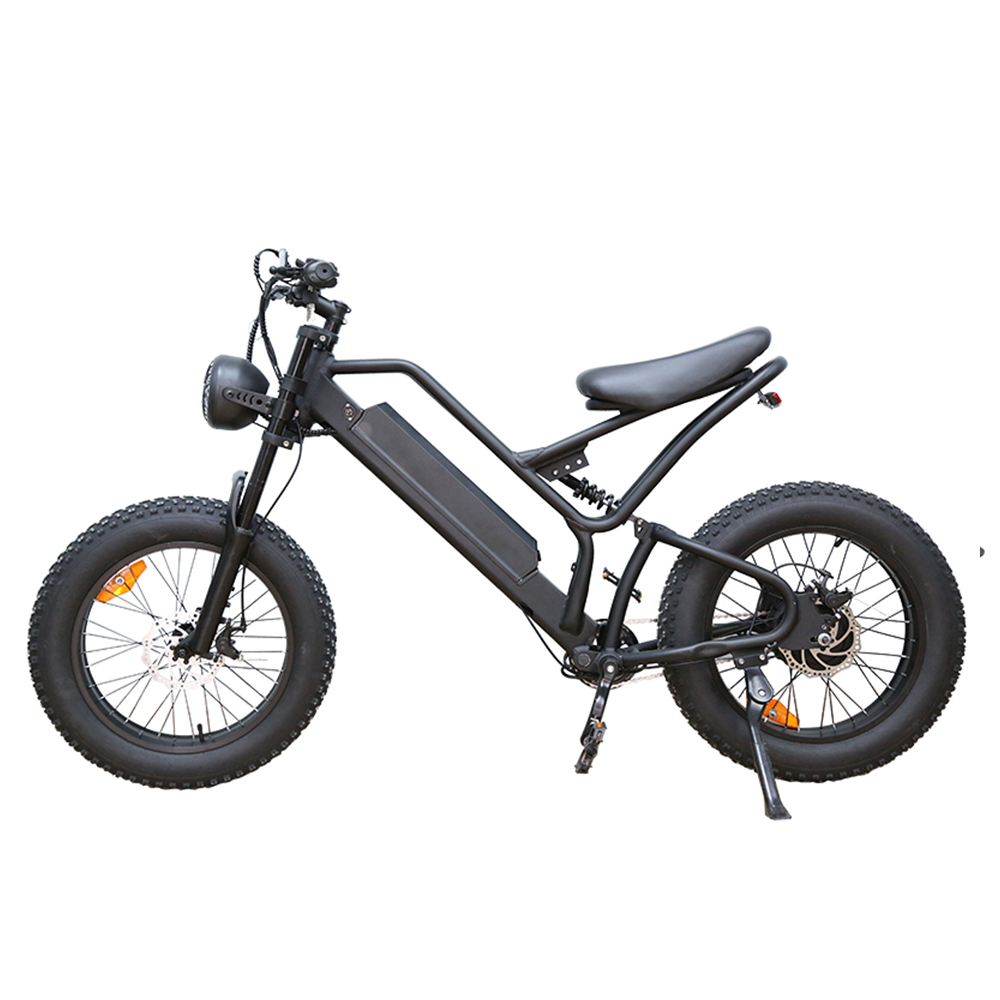 48V 15AH Electric Bike Motorcycles 20