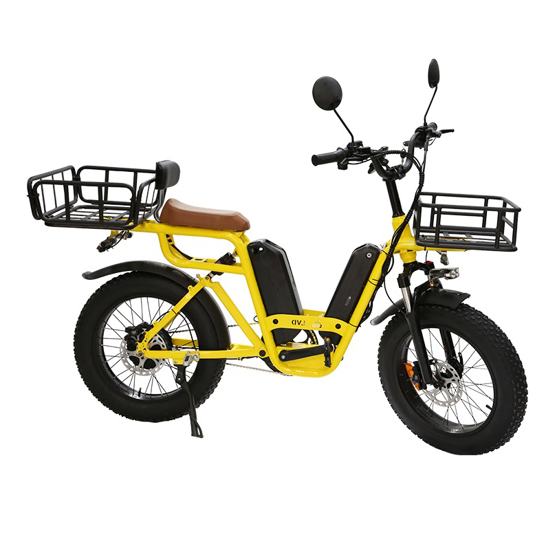 48V15AH*2 Double Battery Electric Bike Single Speed Ebike Fat Tire Bike