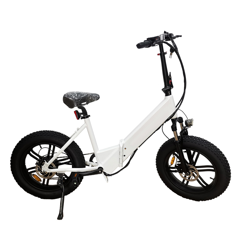 750 Watt Electric Bike 48V 10AH Disc Brake 20 Inch Fat Ebike