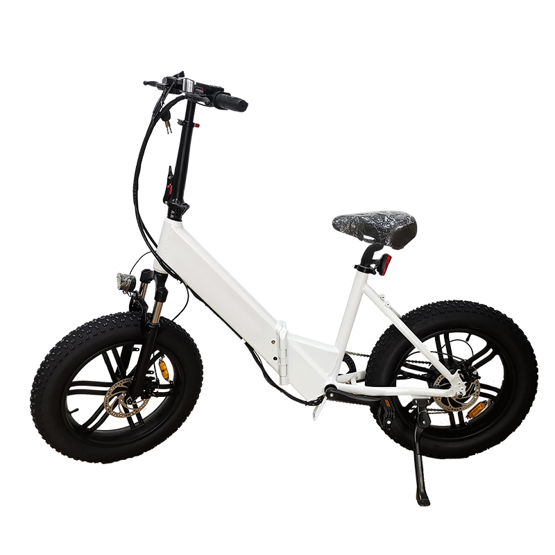 OEM ODM Electric Sports Bike 500W 750W Beach Cruiser Ebike for  Adult