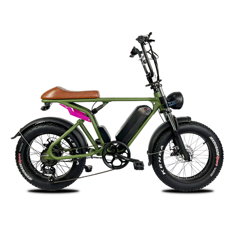 7 Speed 14AH Li-ion Battery 20 Inch Off-road 750W Electric Bike 