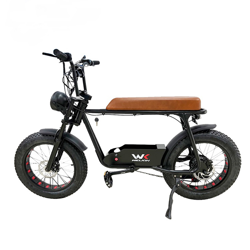 20 inch electric bike PL  warehouse electric bike 1200w fat tire 48V ebike