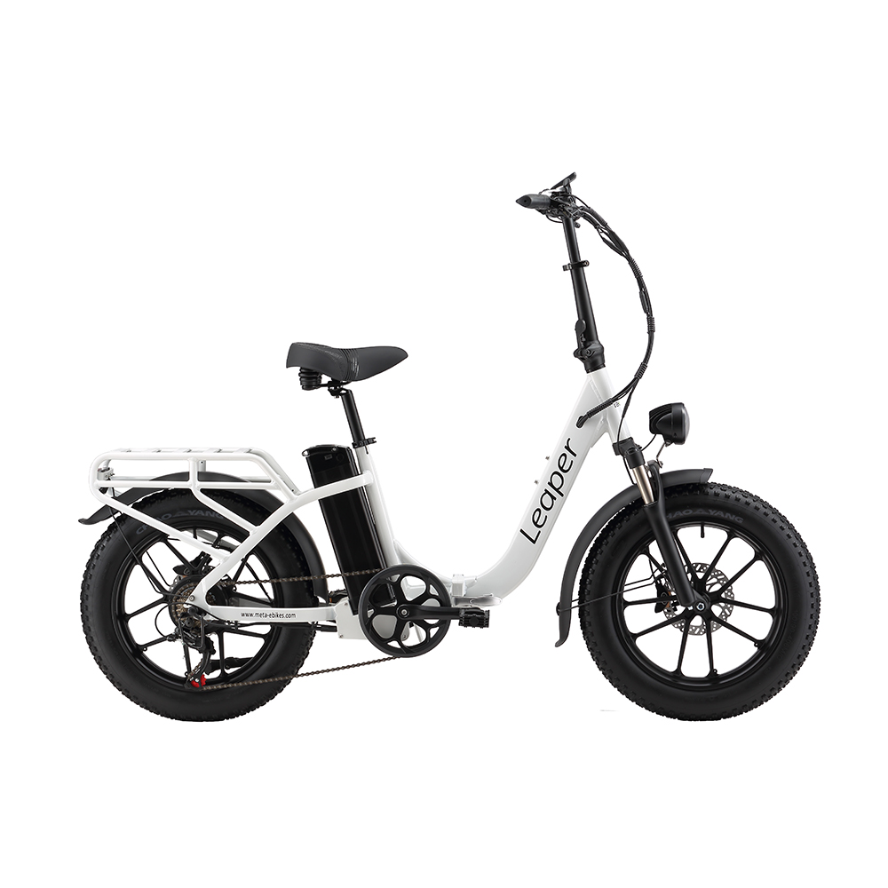 20 inch fat tyre 750W 48V Brushless Motor foldable bicycle for adult in US UK Warehouse